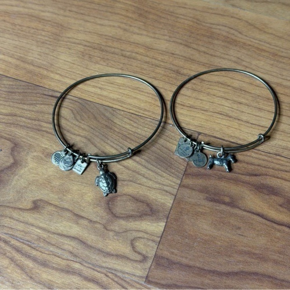 Alex and Ani Charity Bronze Charm Bangle Bracelets Dog Sea Turtle Alex&Ani Lot - Picture 3 of 8